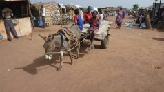 K přepravě zboží v Súdánu slouží zvířata, vlastní bedra nebo kolo