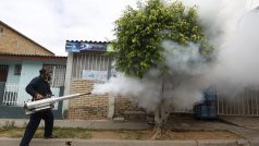 S komáry bojují státy v Latinské a Jižní Americe