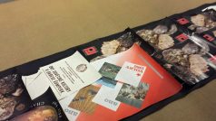 Zapomenutá výstava Jindřicha Štreita z 80. let. Snímky, které byly dlouhá léta zabalené v roli papíru, vystaví Muzeum umění v Olomouci