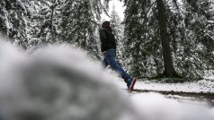 Silné sněžení zasáhlo hlavně jihorakouské Korutany a Štýrsko