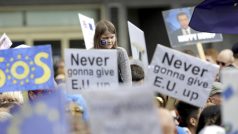 Odpůrci vystoupení Británie z EU demonstrovali v centru Londýna