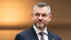 Předseda slovenského parlamentu Peter Pellegrini na návštěvě Poslanecké sněmovny ČR