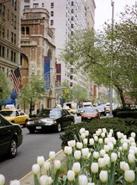 Newyorská Park Avenue poskytuje prostor i zeleni