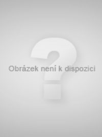 Záchranáři zasahují při srážce tramvají v Ostravě
