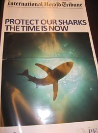 International Herald Tribune se zvláštní obálkou o ohrožených žralocích