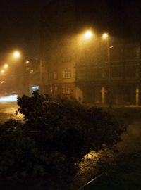 Během bouřky v Praze padaly také stromy. Tento hasiči rychle odstranili ze silnice v ulici Za Viaduktem