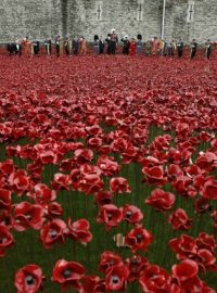 U londýnského Toweru bylo vysazeno 888 246 keramických květů vlčích máků