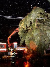 V pátek večer například odstraňovali hasiči zlomený strom z elektrického vedení v Truhlářově ulici ve Varnsdorfu