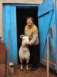 Paní Julii Kodýtkové je 65 let. Pracovala jako zdravotní sestra. Jako důchodkyně bere v přepočtu 900 korun měsíčně