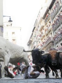 Běh s býky v rámci tradičních oslav svátku svatého Fermína v Pamploně