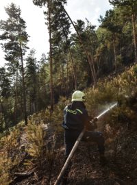 U rozsáhlého požáru lesa u obce Branžež na Mladoboleslavsku zasahuje zhruba 22 hasičských jednotek