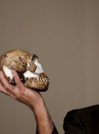 Profesor Lee Berger s replikou lebky pravěkého lidského druhu pojmenovaného „homo naledi“
