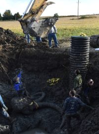 Objev mamuta na poli v americkém Michiganu