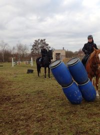 Cvičení koní pražské městské policie