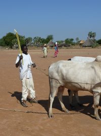 K přepravě zboží v Súdánu slouží zvířata, vlastní bedra nebo kolo
