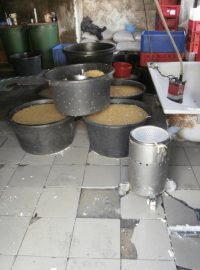 Nepřijatelné hygienické podmínky v nelegální provozovně na výrobu tofu v Praze