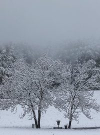 Mokrý sníh polámal desítky stromů