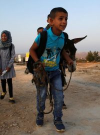 Palestinští studenti s oslíkem míří do školy ve vesnici Súsíja na Západním břehu
