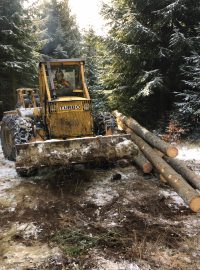 Těžba dřeva na obnovu Libušína u Prostřední Bečvy