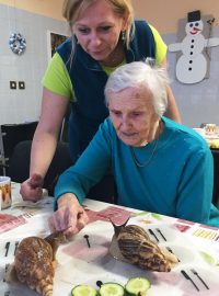 Obří šneci z Afriky pomáhají českým seniorům. Nahrazují jim domácí mazlíčky