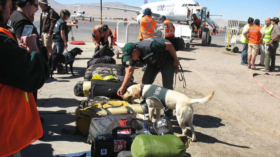 Kontrola zavazadel hlídkou se psy při vstupu do Chile