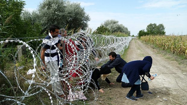 Uprchlíci prolézají plotem na maďarsko-srbské hranici (srpen 2015)